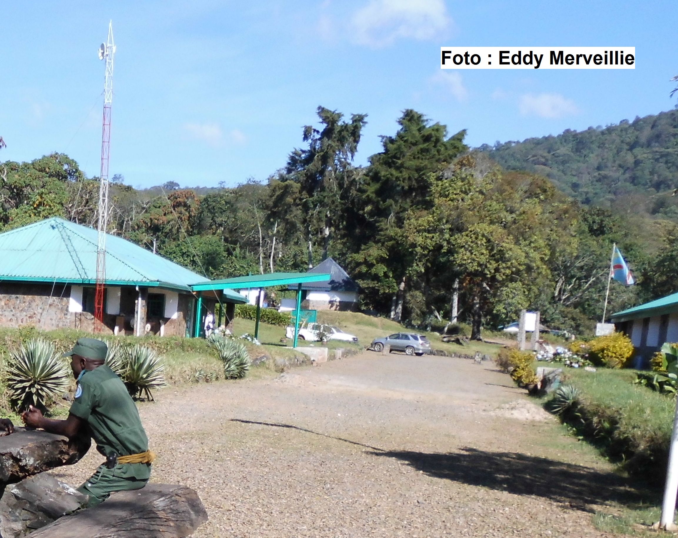 Lees meer over het artikel Zuid-Kivu: pygmeeën eisen terugkeer naar nationaal park, hun ‘voorouderlijk grondgebied’ (CongoForum)