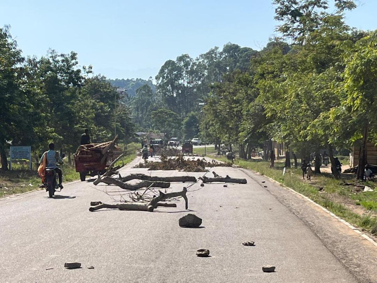 Lees meer over het artikel Congo en Rwanda hebben akkoord over gecoördineerd plan om FDLR te “neutraliseren” (CongoForum)