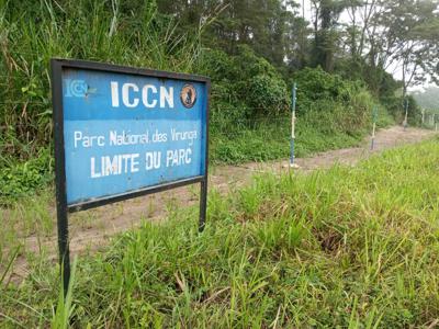 Read more about the article Beni: l’ICCN et les populations riveraines du parc des Virunga toujours en conflit (CongoForum)