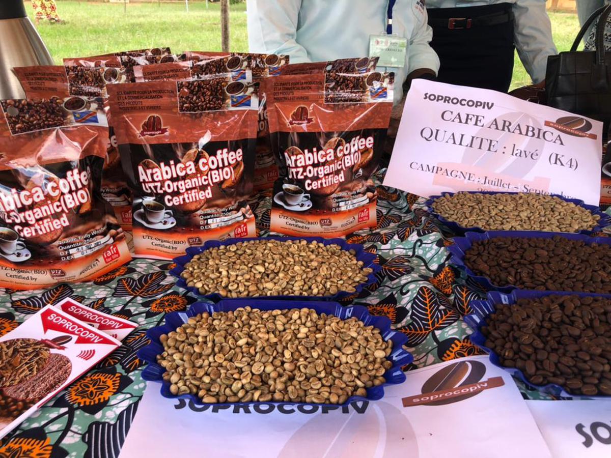 Lees meer over het artikel Ituri: klachten over grootschalige illegale export koffie (CongoForum)