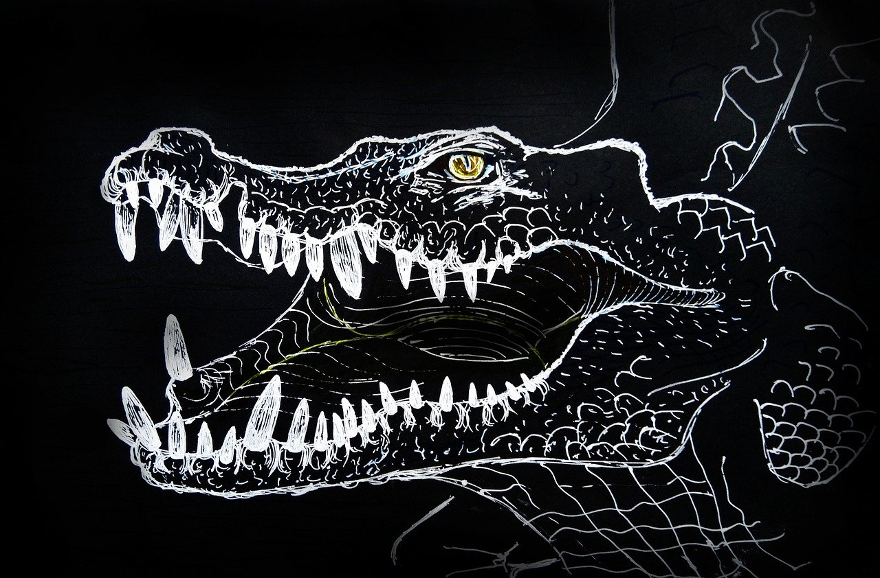 Lees meer over het artikel Tshopo: plannen om afgetakelde dierentuin herop te bouwen (CongoForum)