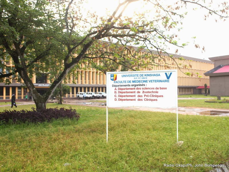 Lees meer over het artikel UNIKIN: Confucius-instituut helpt kennis Mandarijn te verspreiden (CongoForum)