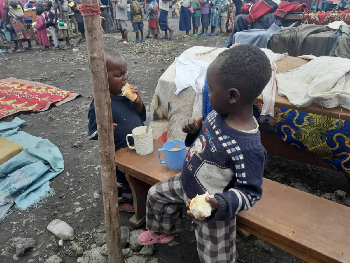 Lees meer over het artikel Meer dan 48% van Congolese kinderen tussen 0 en 5 jaar ondervoed (CongoForum)