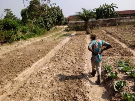 Lees meer over het artikel Kisangani vzw: nieuwsbrief maart 2025