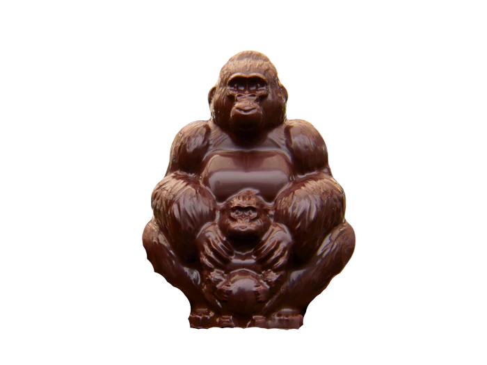 Read more about the article Nord-Kivu: une nouvelle naissance dans la famille Humba, l&rsquo;espoir renaît dans les forêts du Parc des Virunga (CongoForum)