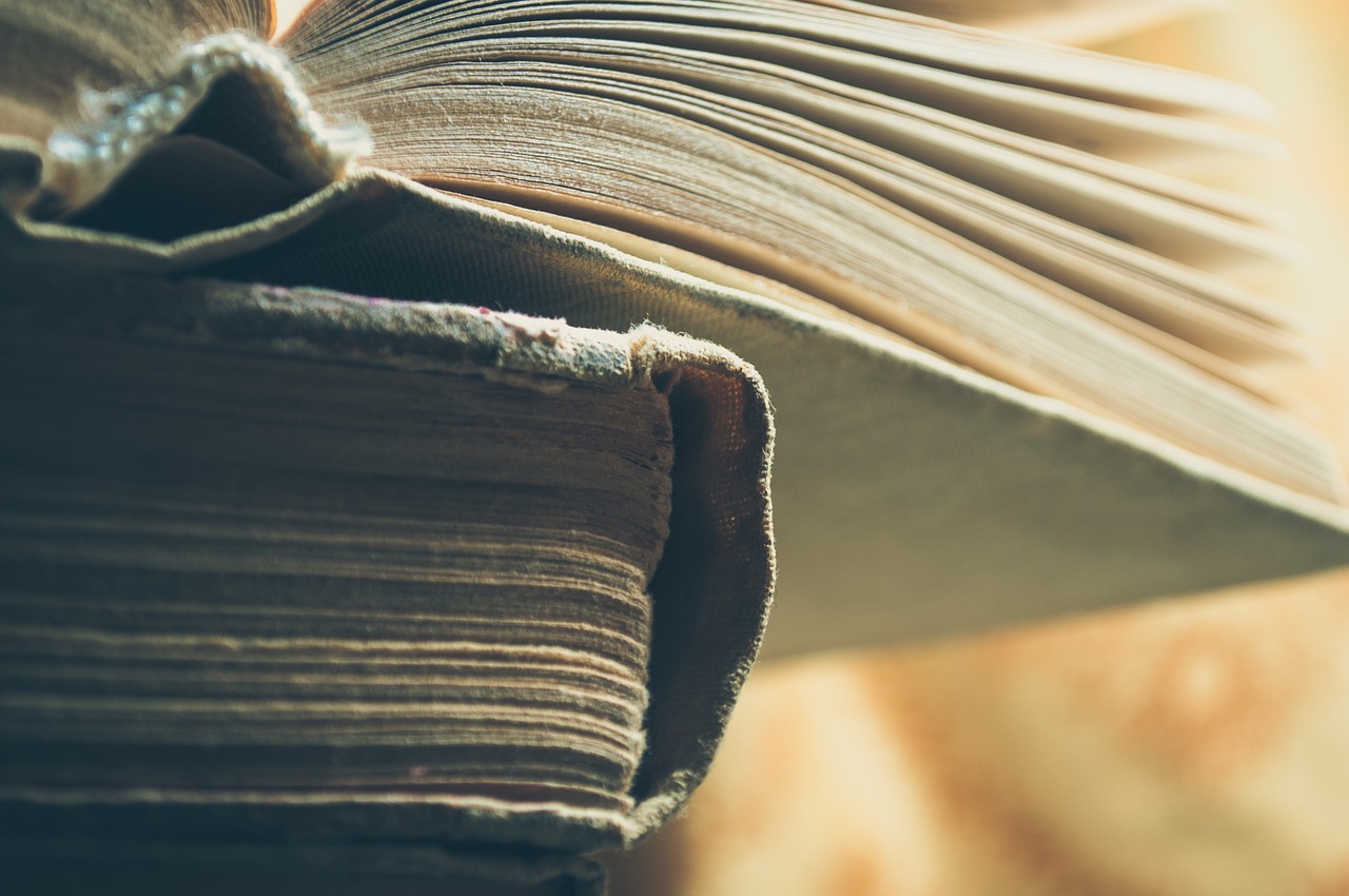 Lees meer over het artikel Jonge schrijvers denken na over belang literatuur in Congolese talen (CongoForum)