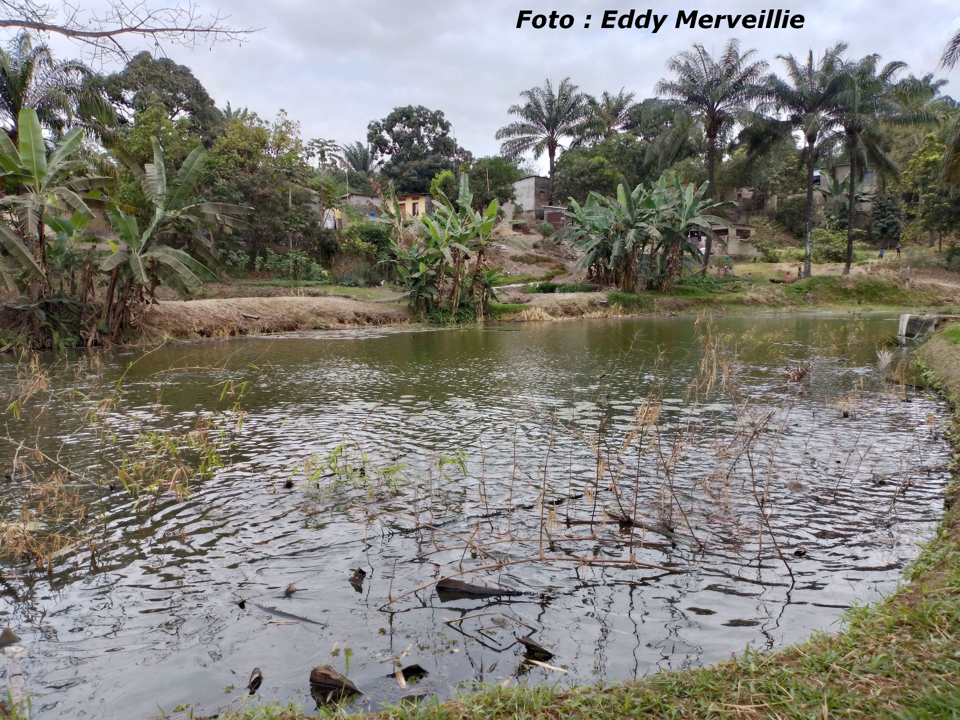 Lees meer over het artikel Noord-Kivu: aan water komen is erg moeilijk met dreiging van gewapende groepen (CongoForum)