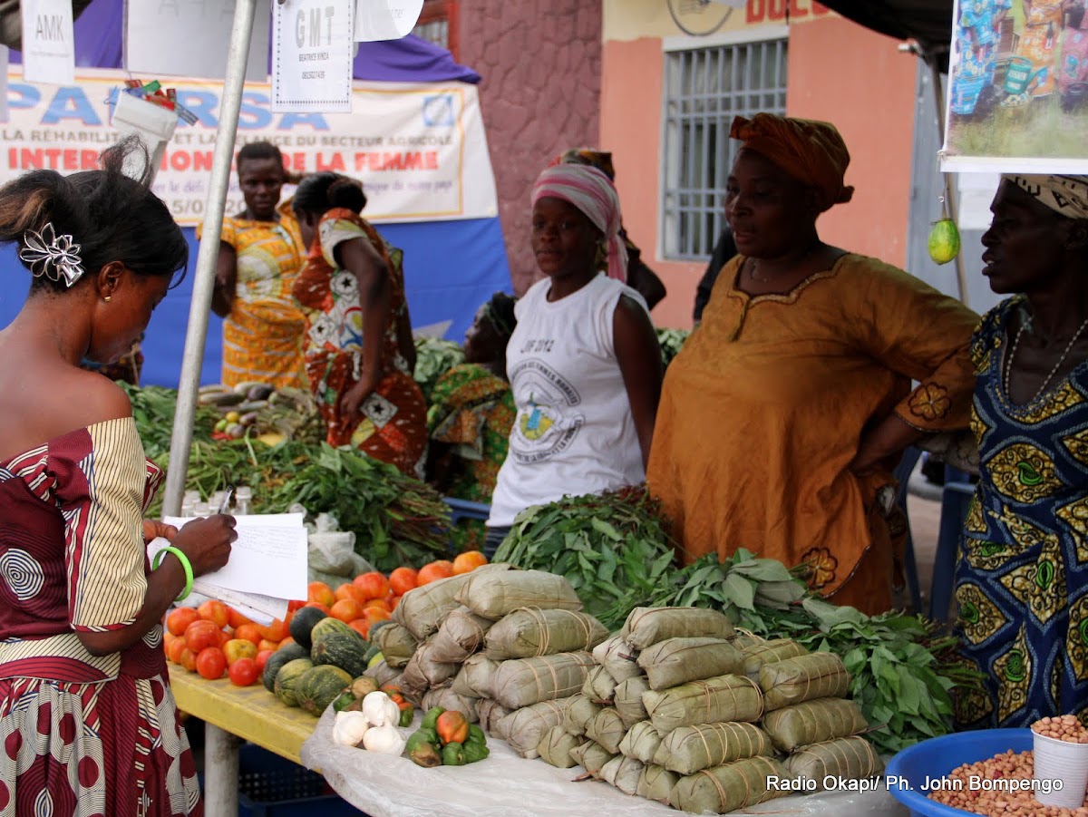 Lees meer over het artikel Modernisering RN20 Ingudi–Idiofa schiet op (CongoForum)