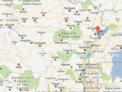 Lees meer over het artikel VN-rapport waarschuwt voor feitelijke annexatie Oost-Congo door Rwanda (CongoForum)