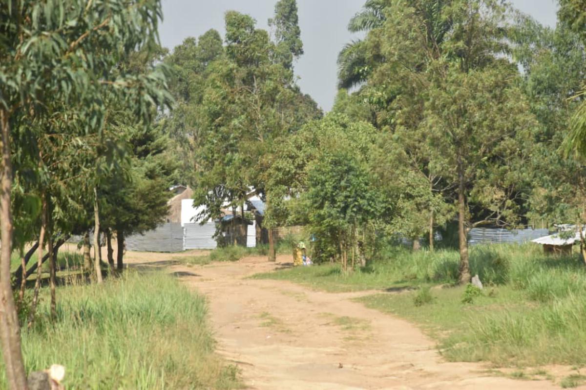 Lees meer over het artikel Ituri: sommige ontheemden keren terug naar dorpen in Irumu naarmate veiligheid verbetert (CongoForum)