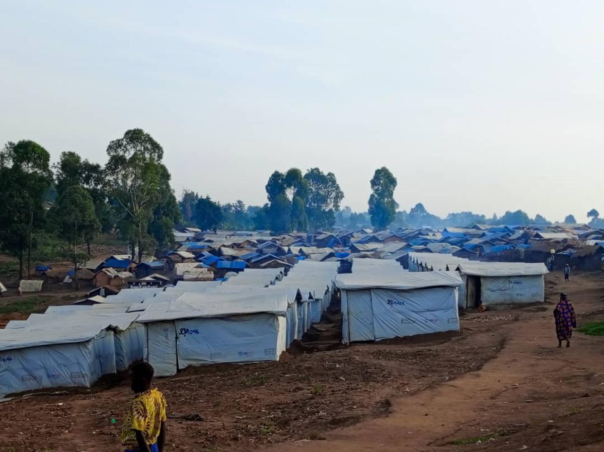 Lees meer over het artikel Oost-Congo: Wereldvoedselprogramma heeft 270 miljoen dollar nodig (CongoForum)