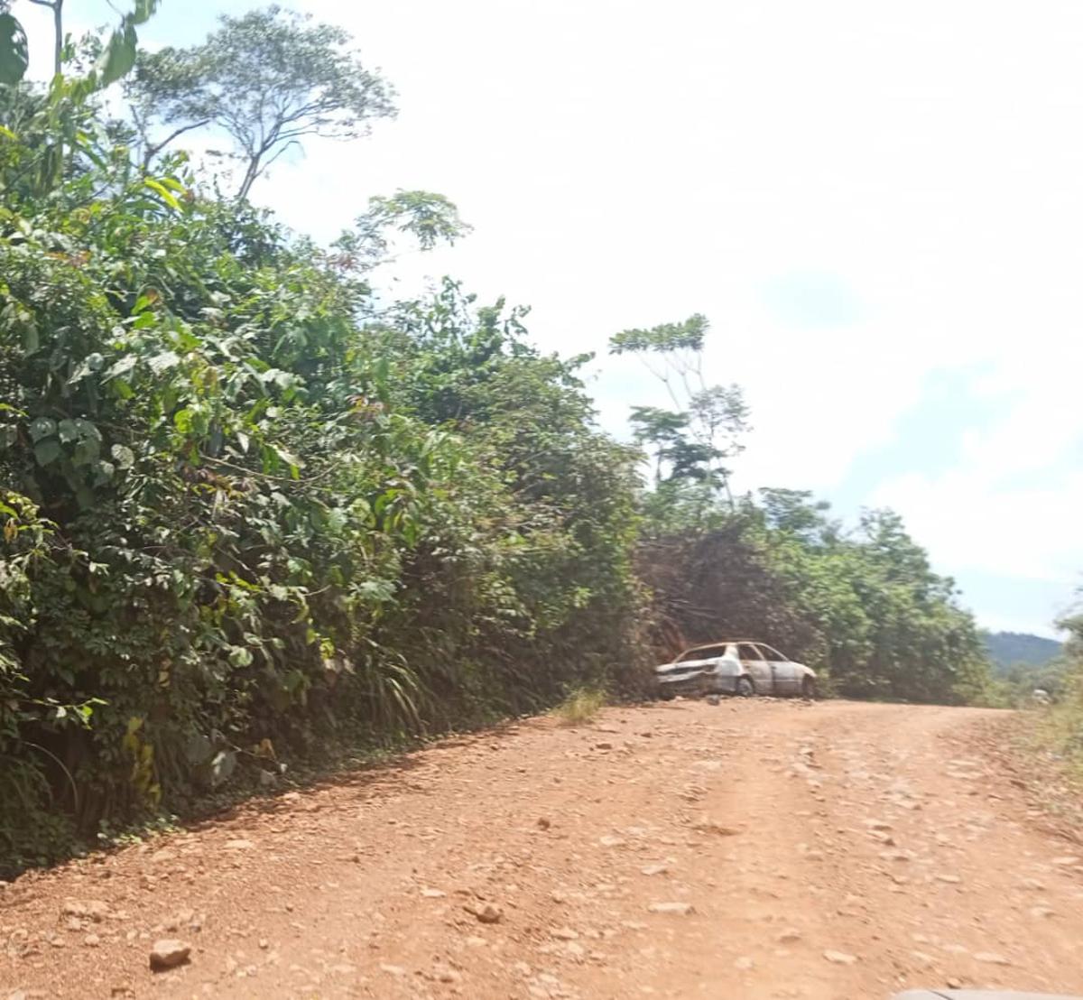 Lees meer over het artikel Tshopo: OCÉAN en Impact werken aan duurzaam beheer bosecosystemen (CongoForum)