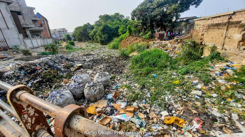 Lees meer over het artikel Gouverneur van Kinshasa tracht wanorde te bestrijden (CongoForum)