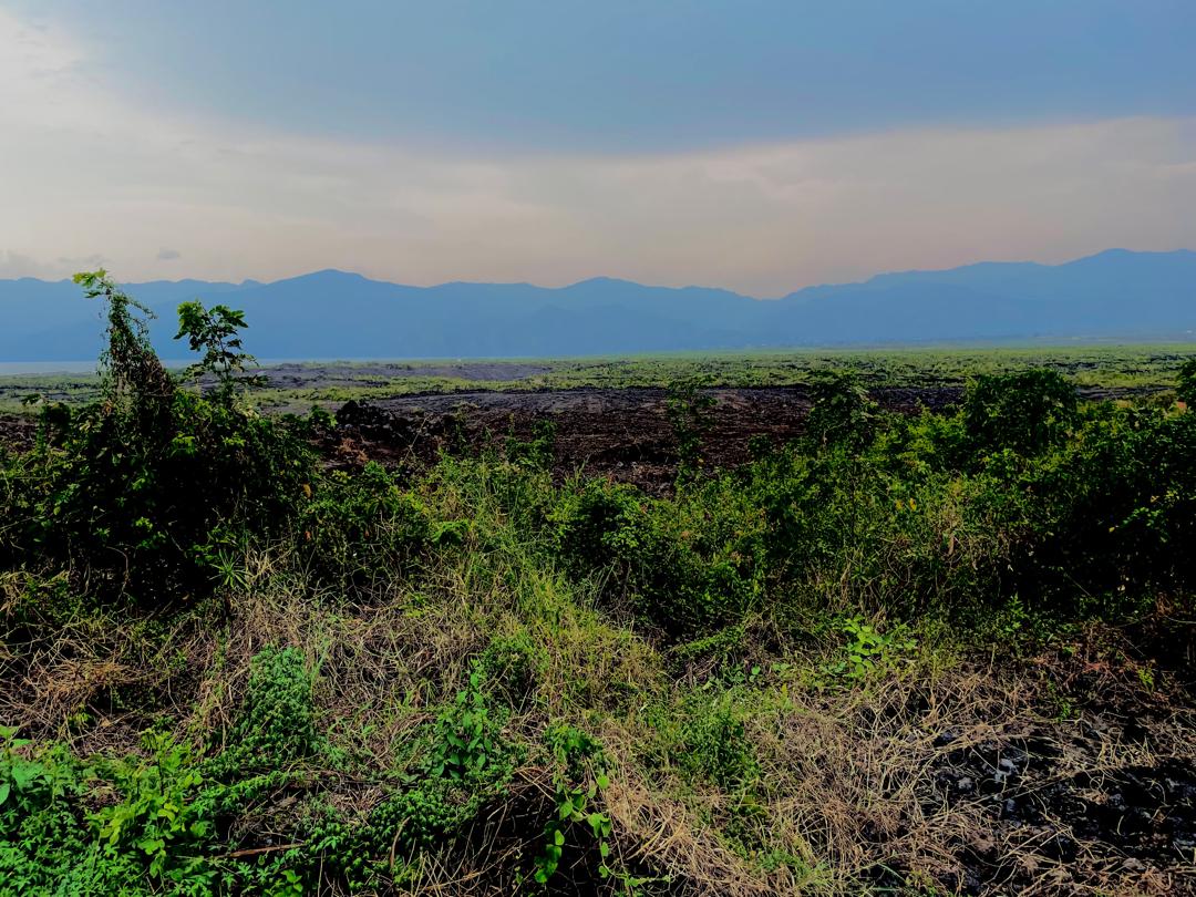 Read more about the article Kinshasa: 27,2 millions dollars mobilisés pour renforcer la résilience climatique dans l’Est du pays (CongoForum)