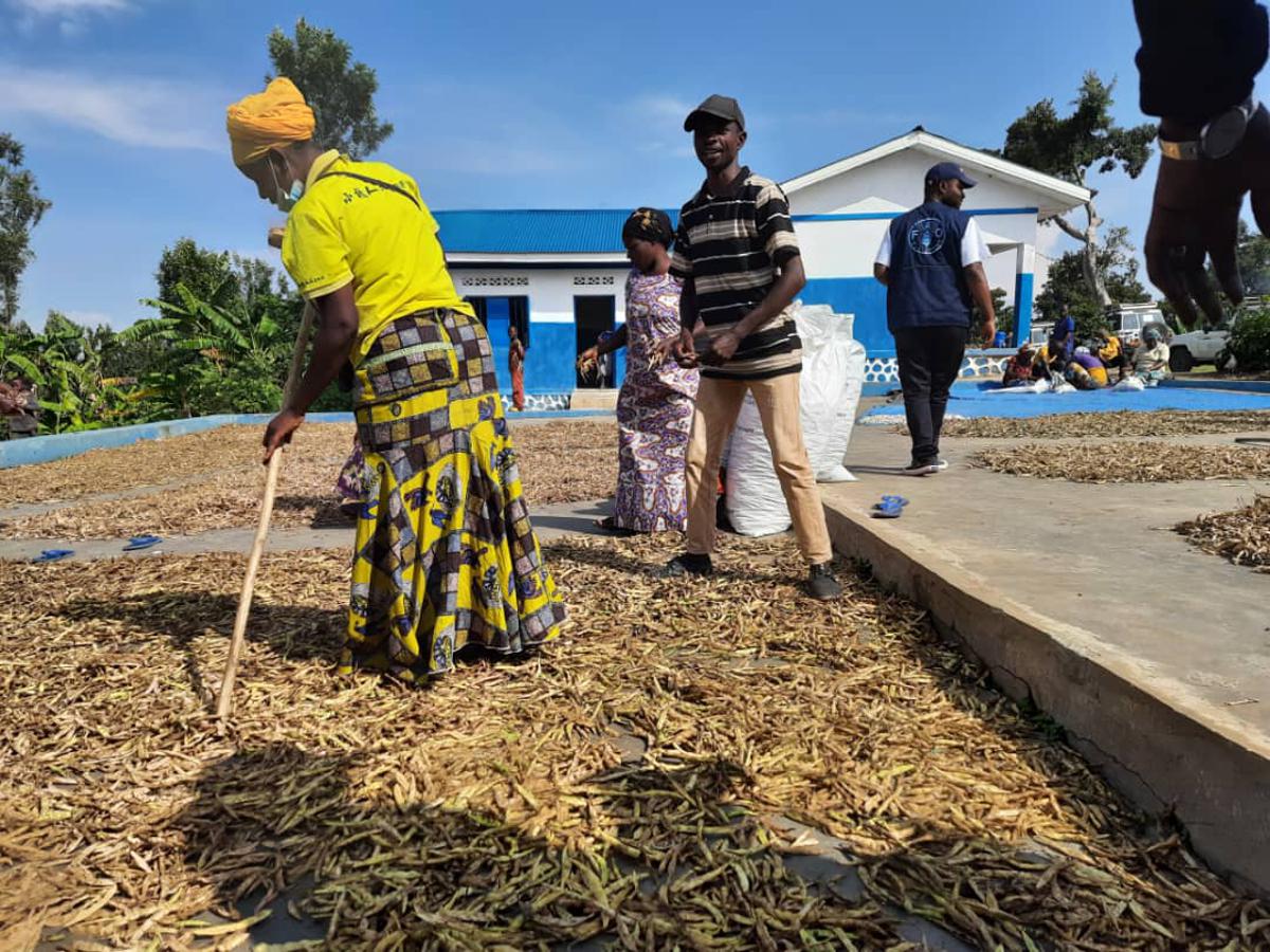 Lees meer over het artikel FAO en CONAPAC organiseren trainingen over landbouw in Kinshasa, Kwango en Kwilu (CongoForum)