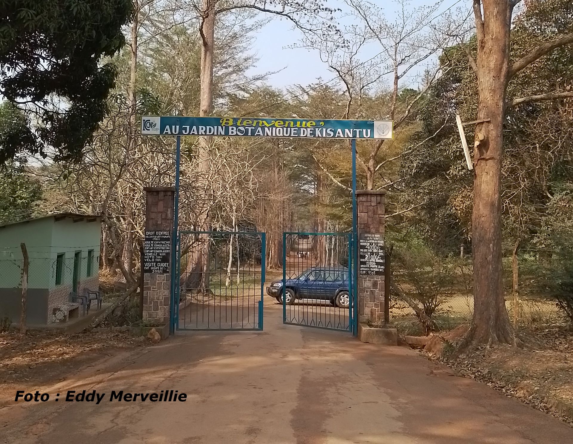 Lees meer over het artikel Madimba: botanische tuin van Kisantu is in gevaar (CongoForum)