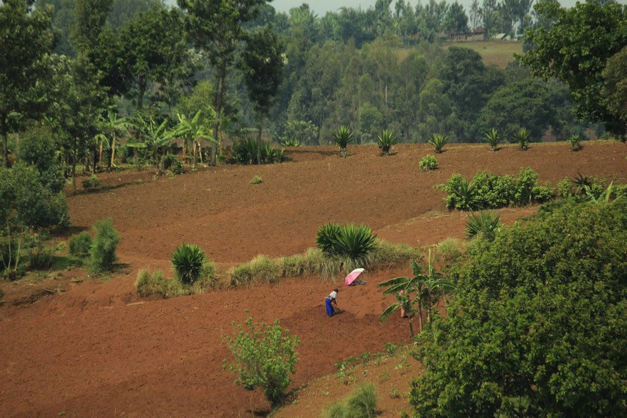 Read more about the article Sud-Kivu: des femmes enceintes déplacées de guerre meurent faute d’accès aux soins à Mubuku (CongoForum)