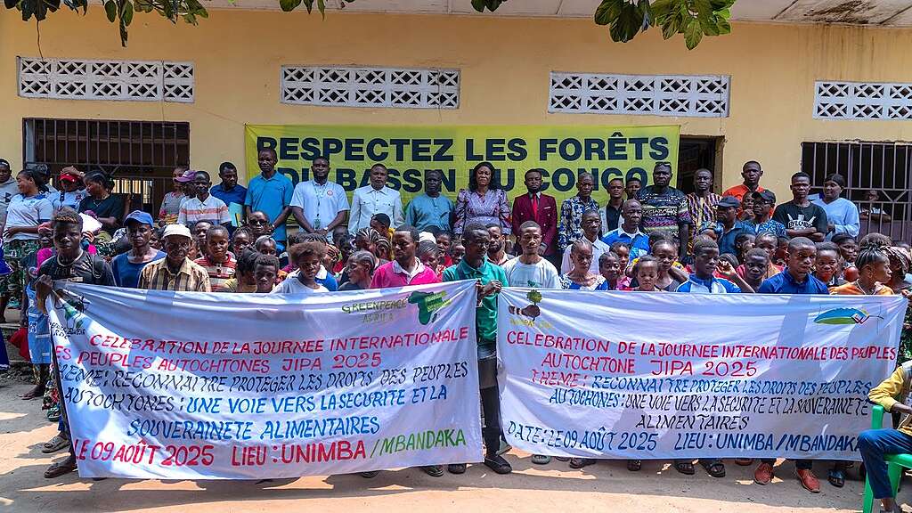 Lees meer over het artikel Greenpeace: middelen bestemd voor gemeenschappen die het bos beschermen, worden opgesoupeerd in Kinshasa (CongoForum)