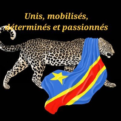 Read more about the article Mondial 2026: la RDC décroche son ticket pour les barrages intercontinentaux après sa victoire sur le Nigeria (CongoForum)