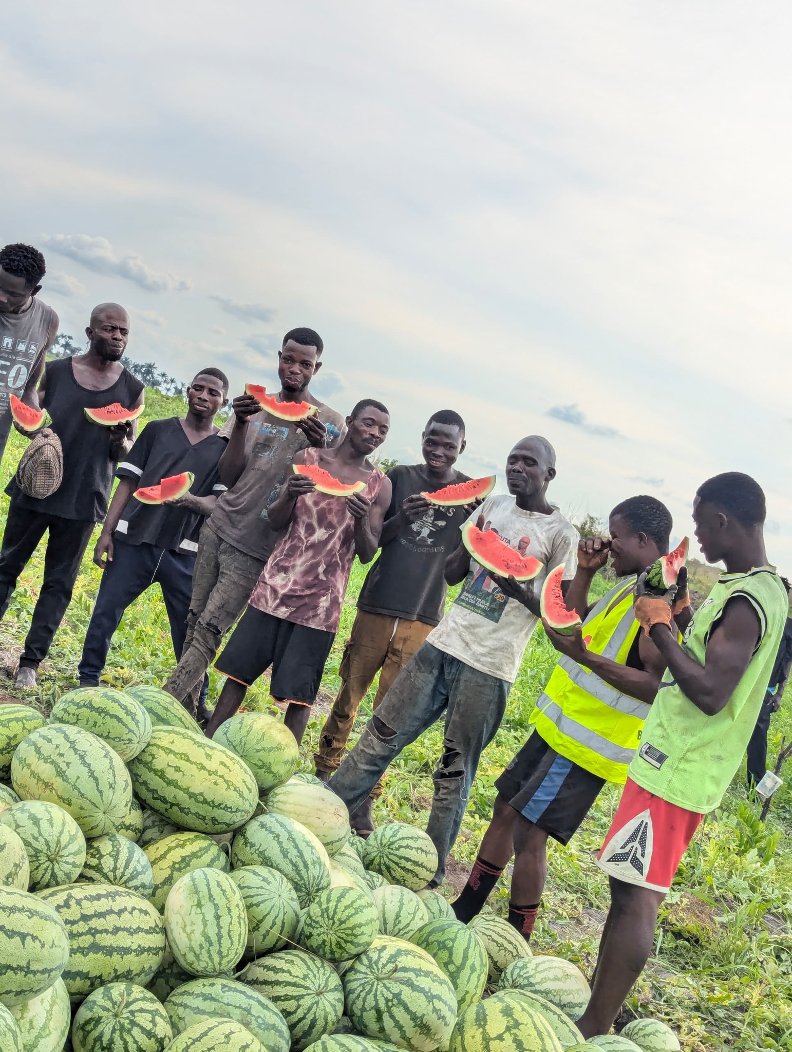 Read more about the article Kongo Central: le jeune entrepreneur Omwinja Manassé  lance la première récolte expérimentale de pastèques (CongoForum)