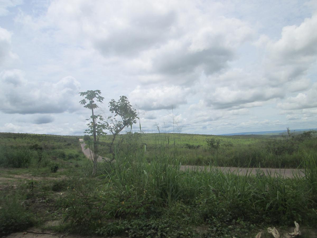 Lees meer over het artikel Strijd tegen Mobondo: “Hele RN1 is nu onder controle”, zegt leger (CongoForum)