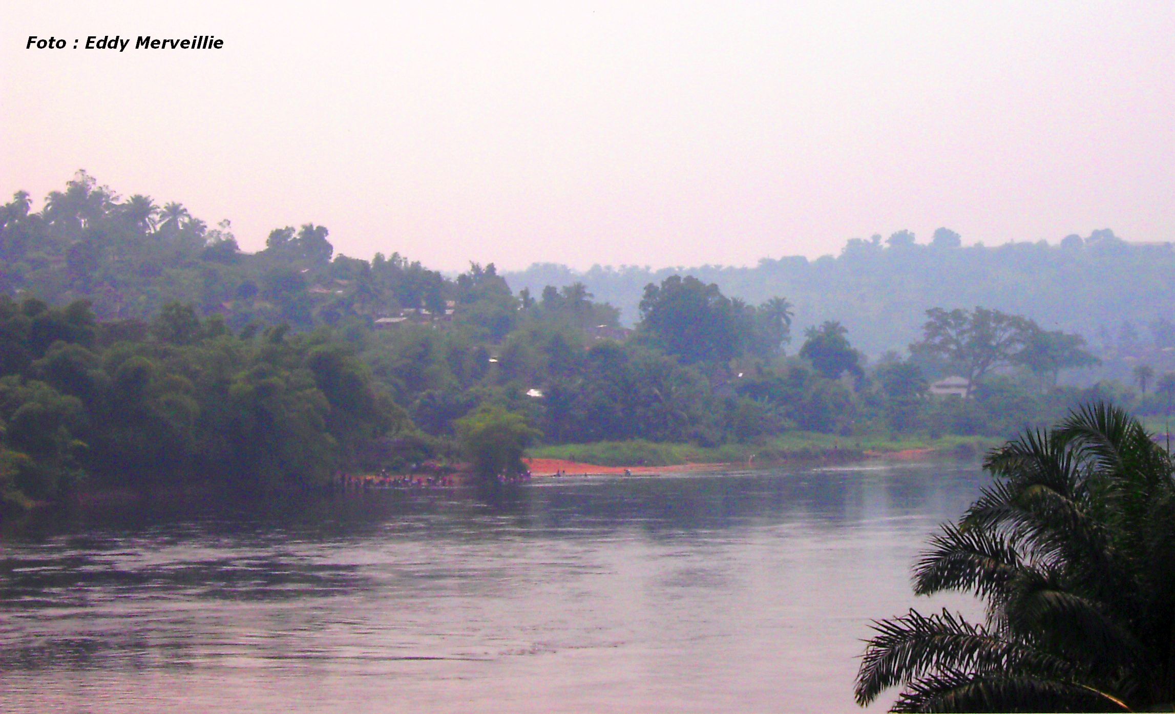 Lees meer over het artikel Drama op Kwangorivier: bootramp kost meer dan 30 mensenlevens (CongoForum)