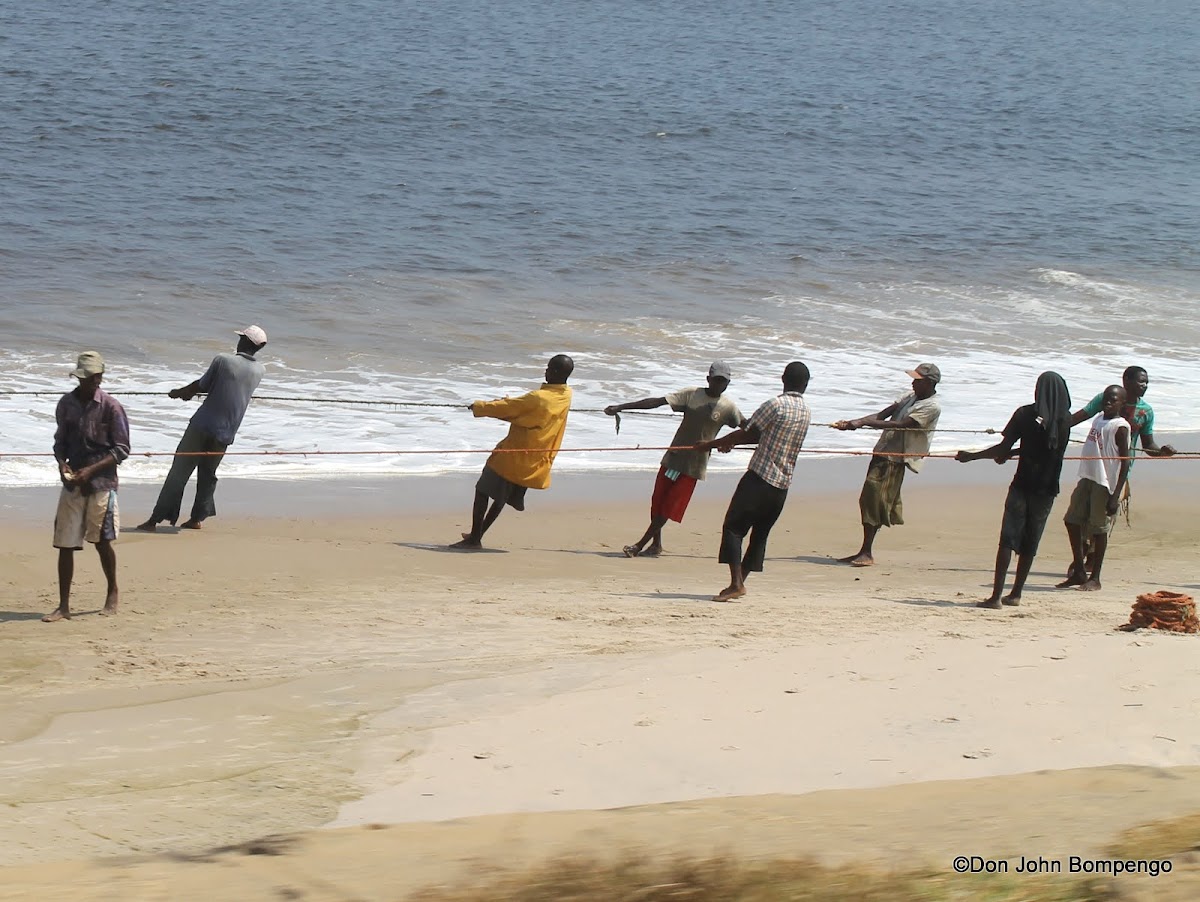 Lees meer over het artikel Centraal-Kongo: bijna 280 vissers zijn werkloos na inbeslagname materieel (CongoForum)