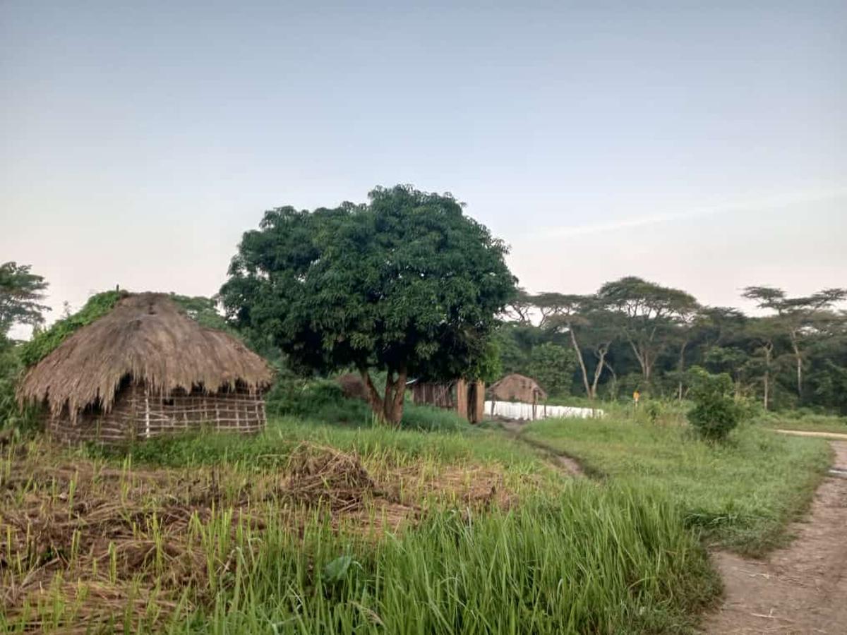 Lees meer over het artikel Centraal-Kasaï: einde aan grondconflict in streek van Luiza, traditionele leiders verzoenen zich met elkaar (CongoForum)