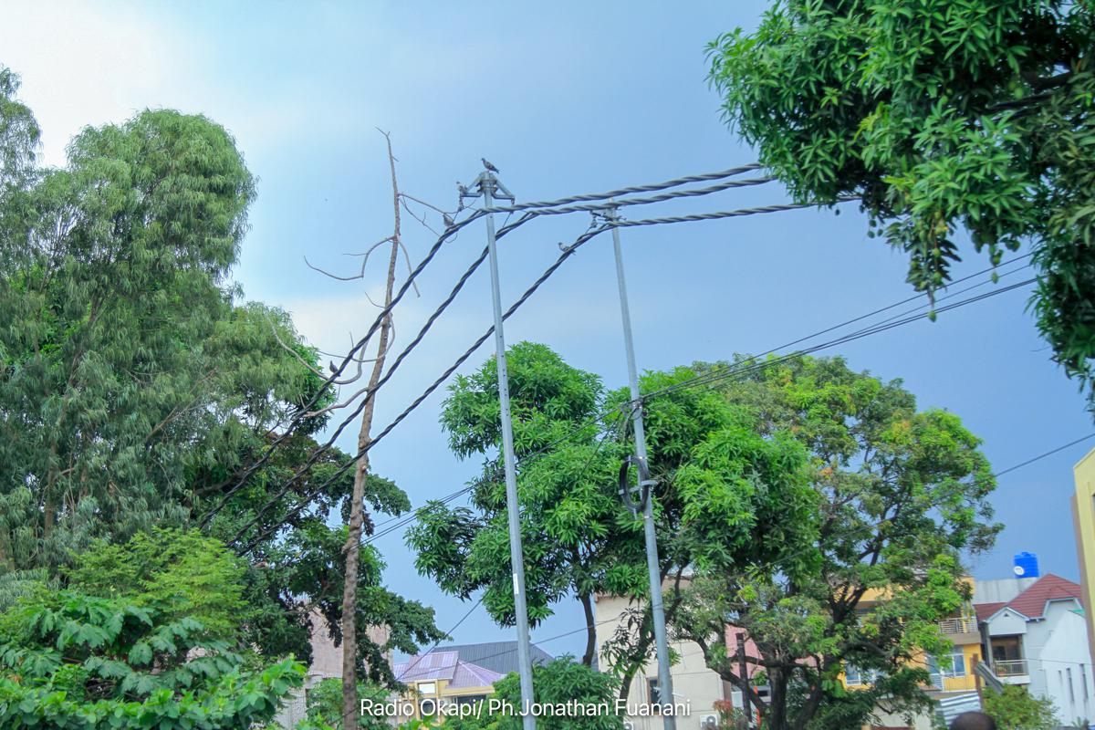 Lees meer over het artikel Inwoners Moanda kampen met groot tekort aan elektriciteit (CongoForum)