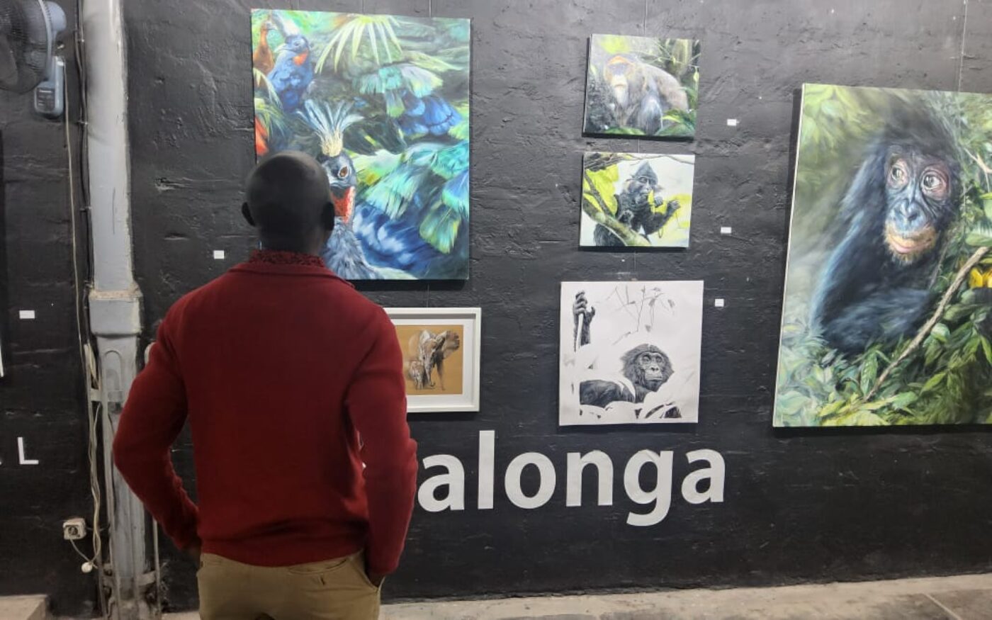 Read more about the article Une immersion dans le Parc National de la Salonga à travers le dessin et la peinture (PNS)