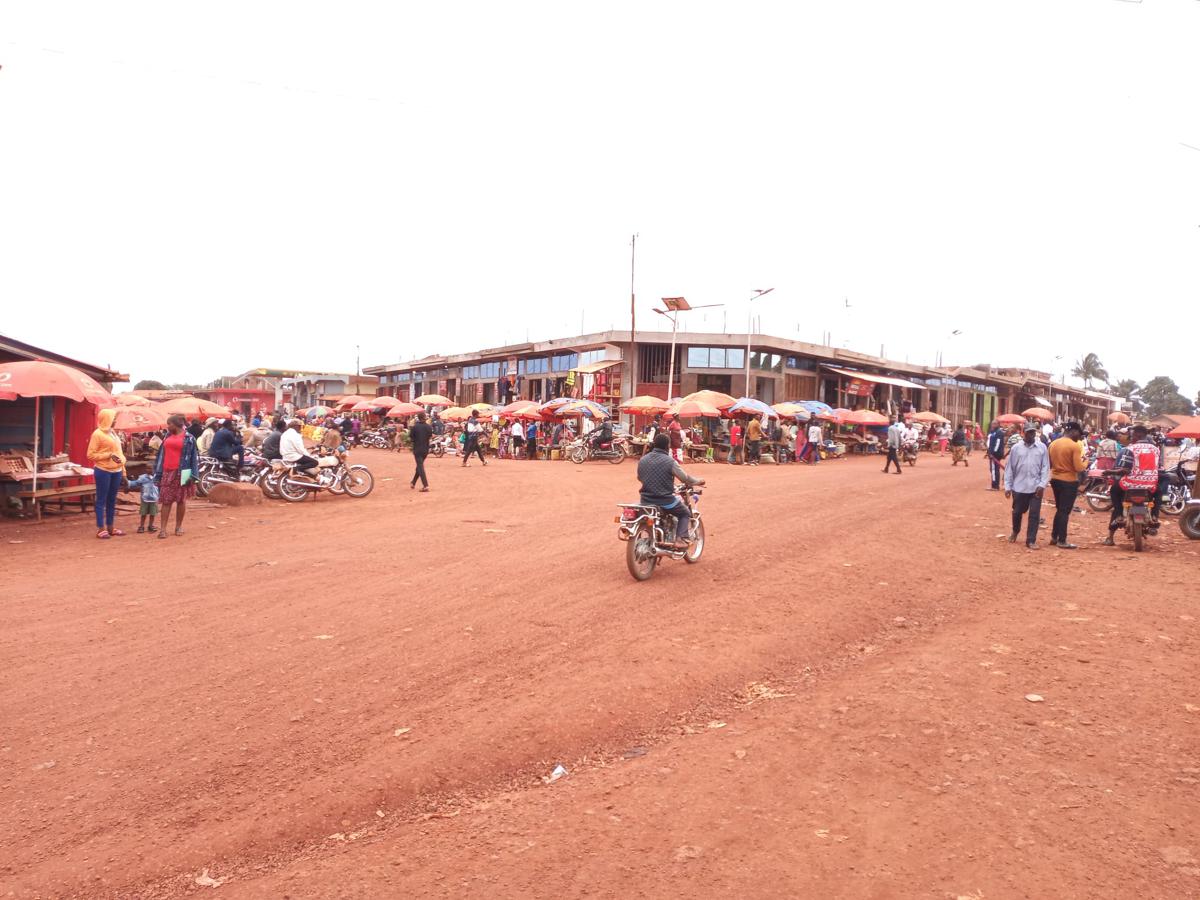 Lees meer over het artikel Wazalendo: bondgenoten van Congolees leger, die dikwijls onveiligheid veroorzaken (CongoForum)