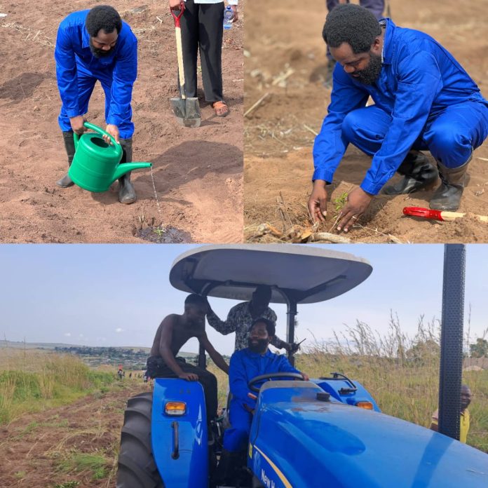 Lees meer over het artikel Kwango: aanplanting bomen op terrein provinciale assemblee in Kenge (CongoForum)