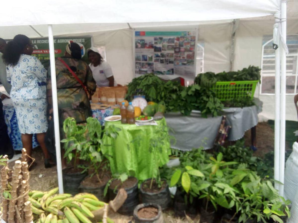 Lees meer over het artikel Congolezen denken na over wettelijk kader rond bioveiligheid (CongoForum)