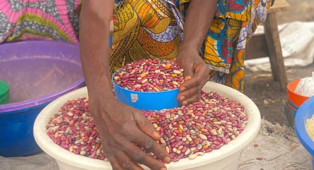 Read more about the article Uvira: sept tonnes de semences pour semer l’espoir au Sud-Kivu (CongoForum)