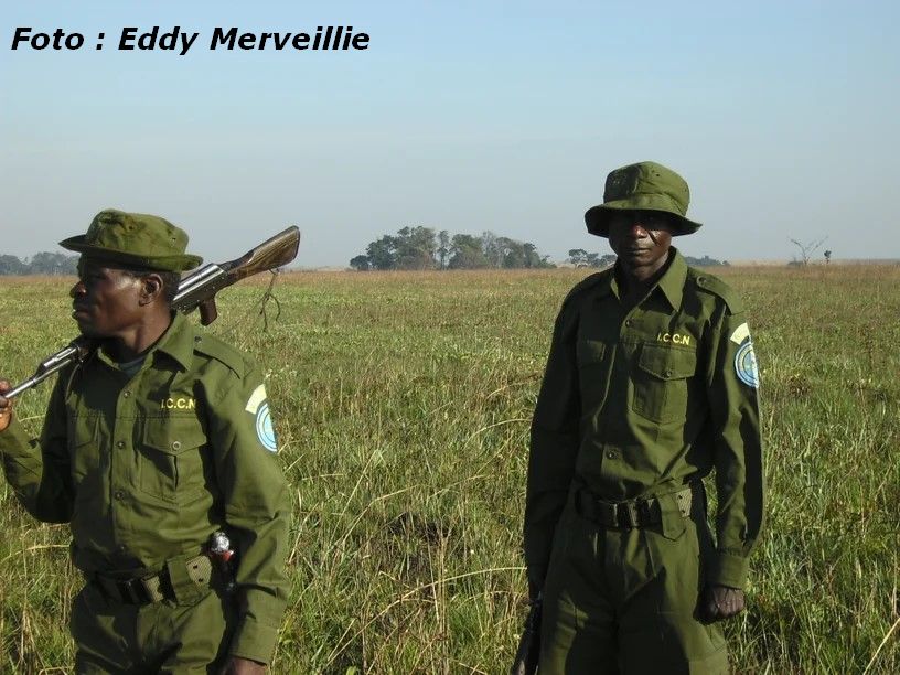 Lees meer over het artikel Aanval in nationaal park van Upemba kost aan vijf mensen het leven (CongoForum)