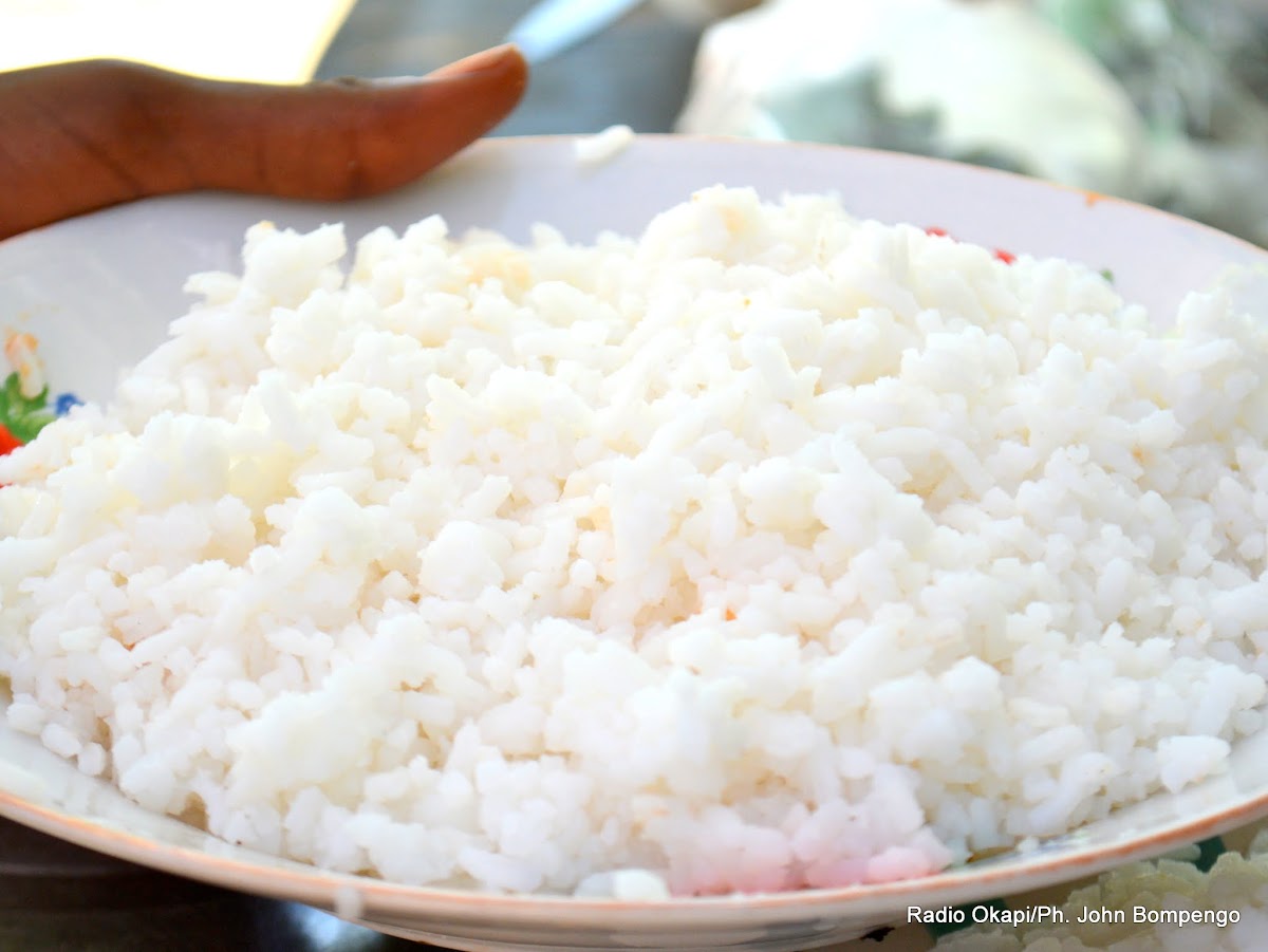 Lees meer over het artikel Industriële rijstteelt in Nzopi: nieuw landbouwtijdperk breekt aan in Haut-Uele (CongoForum)