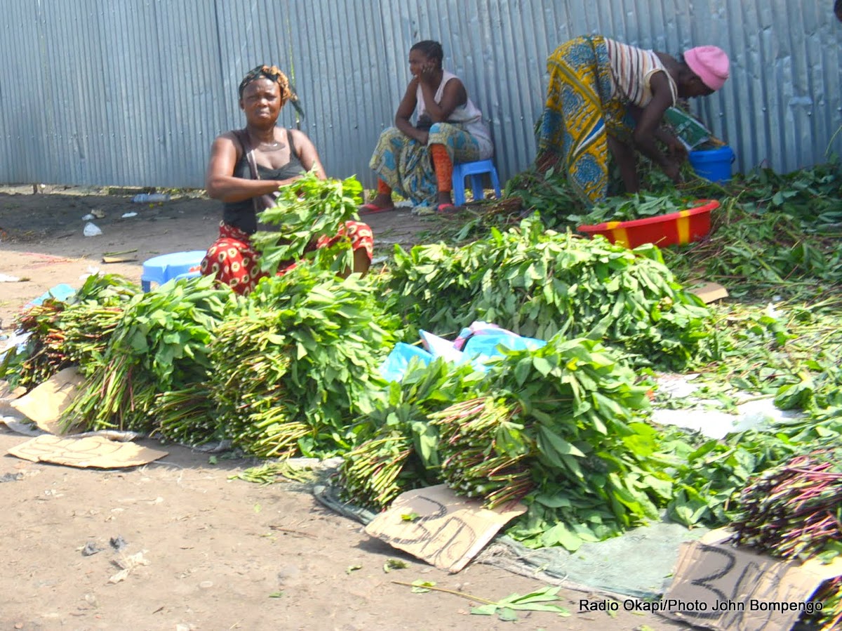 Lees meer over het artikel Kinshasa: steeds meer mensen laten ‘pondu’ door machine versnijden (CongoForum)