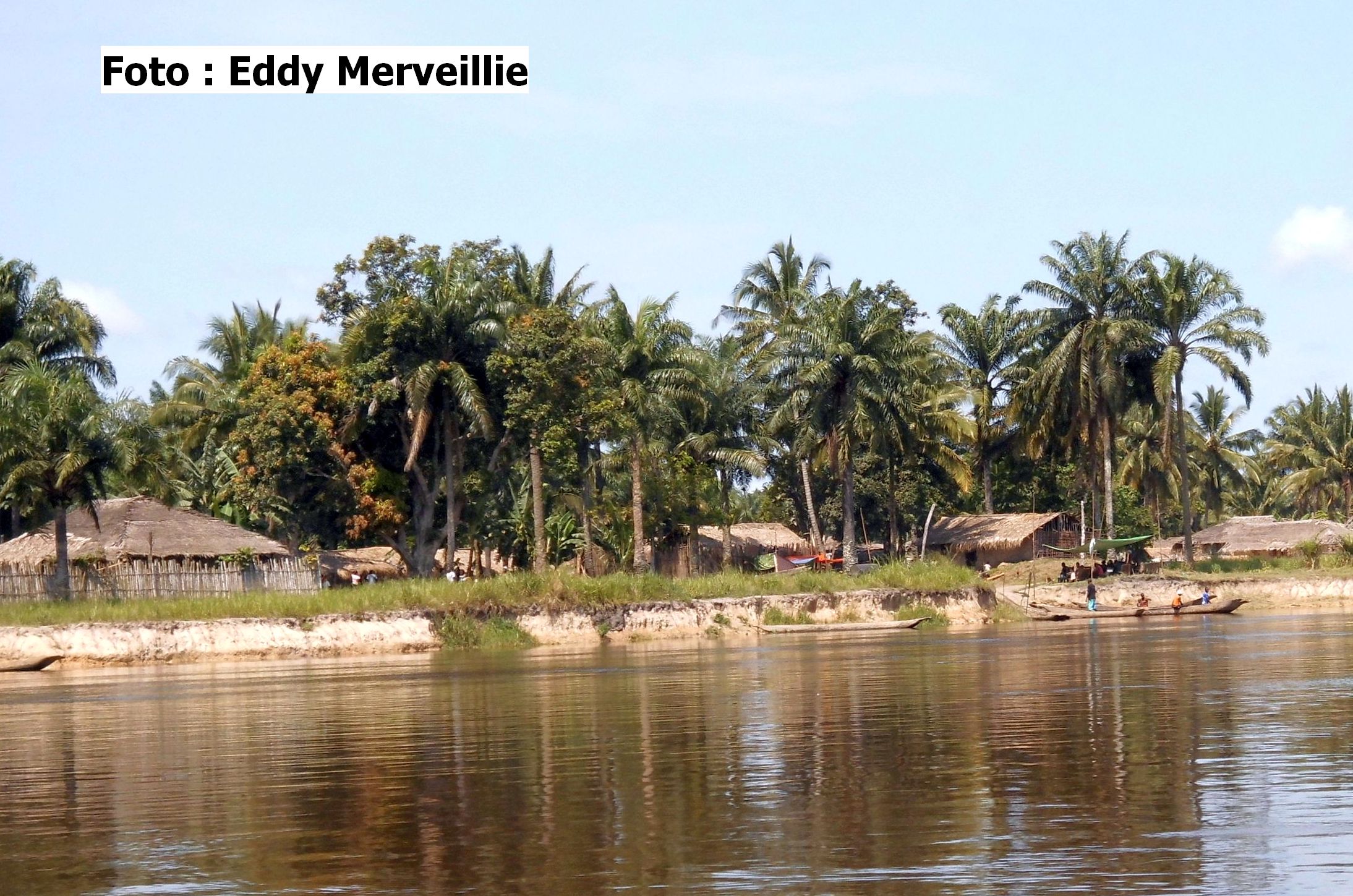 Lees meer over het artikel Tshopo: overstromingen maken meer dan 20.000 families dakloos (CongoForum)