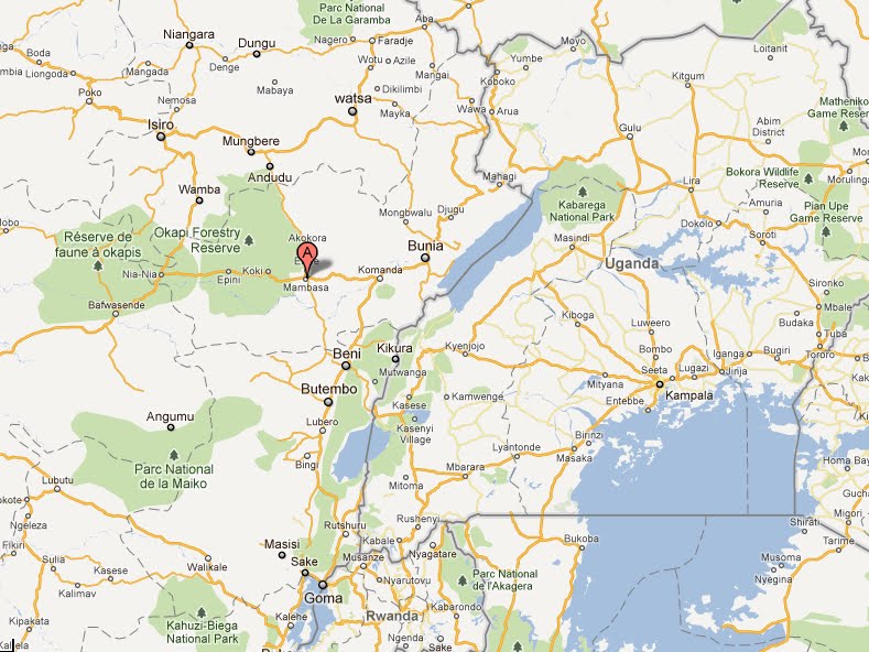 Lees meer over het artikel Ituri: ADF-rebellen ontvoerden meer dan 100 kinderen, zegt jongerenparlement (CongoForum)