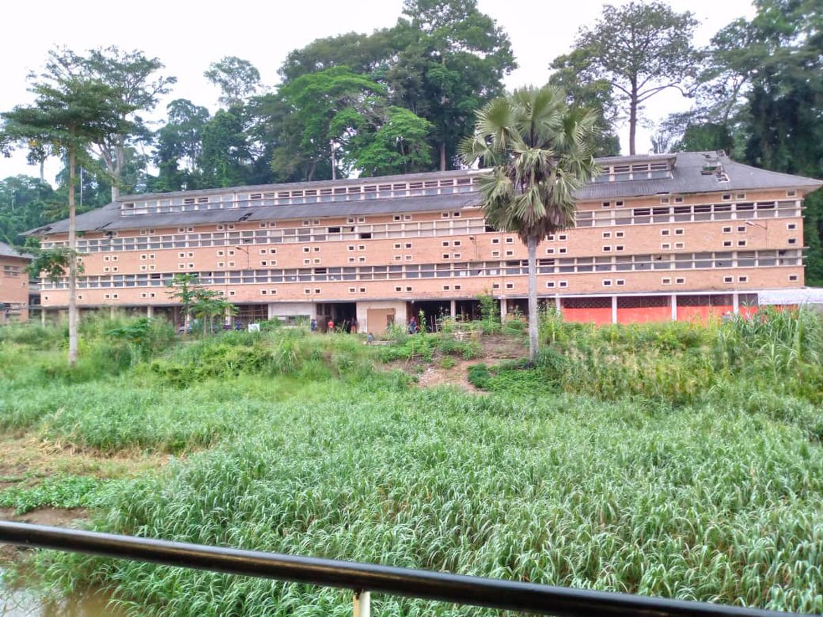 Lees meer over het artikel Unesco promoot Yangambi wereldwijd als voorbeeld van duurzaam bosbeheer (CongoForum)