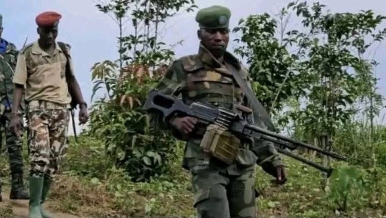 Read more about the article Nord-Kivu: de violents affrontements entre l’AFC/M23 et les Wazalendo près de Kashebere (CongoForum)