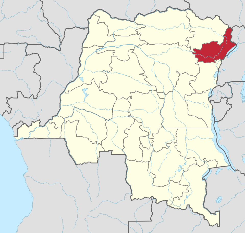 Lees meer over het artikel Boze actievoerders steken behandelcentrum voor ebola in brand nabij Bunia (CongoForum)