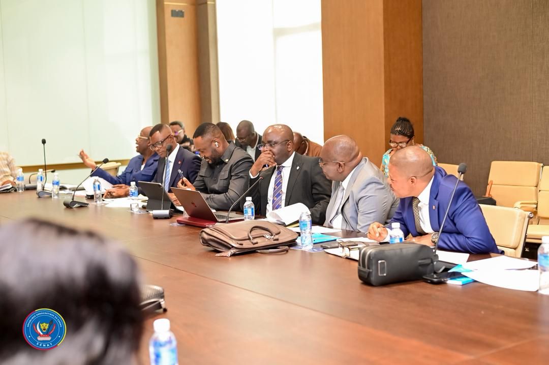 Read more about the article Kinshasa: la commission PAJ du Sénat adopte le rapport sur la loi référendaire dans un climat de fortes tensions politiques (CongoForum)