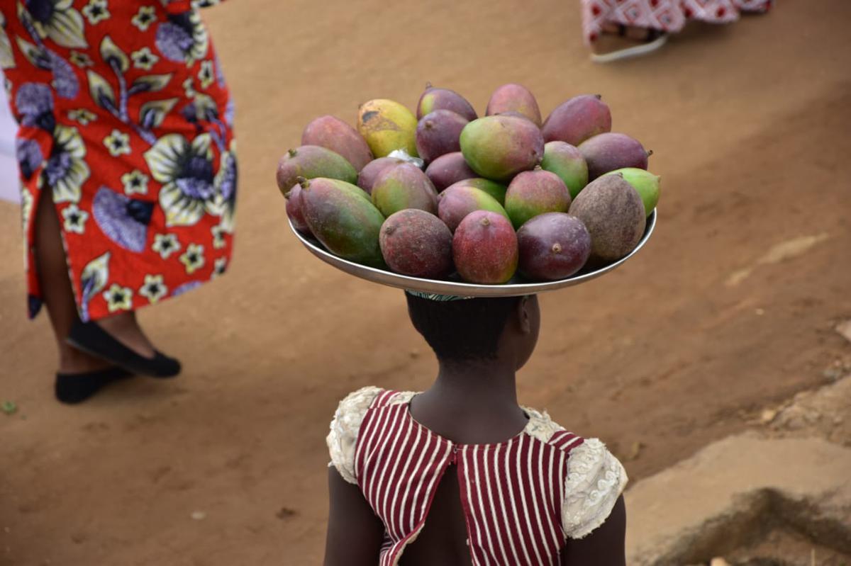 Lees meer over het artikel Dag van het Afrikaanse Kind: miljoenen Congolese kinderen gaan nog altijd niet naar school (CongoForum)