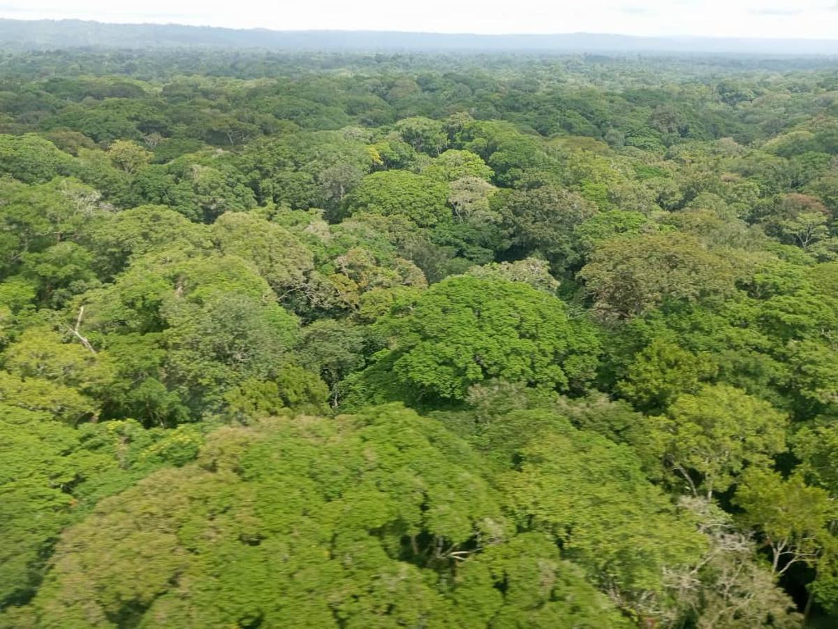 Lees meer over het artikel Nieuw materieel voor natuurbescherming en agrobosbouw in Centraal-Kongo (CongoForum)