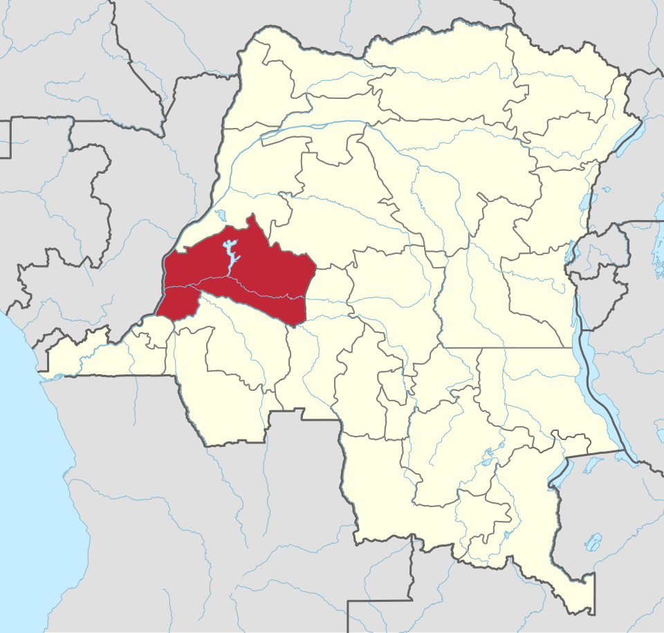 Lees meer over het artikel Kinshasa meldt terreinwinst in strijd tegen Mobondomilities in West-Congo (CongoForum)