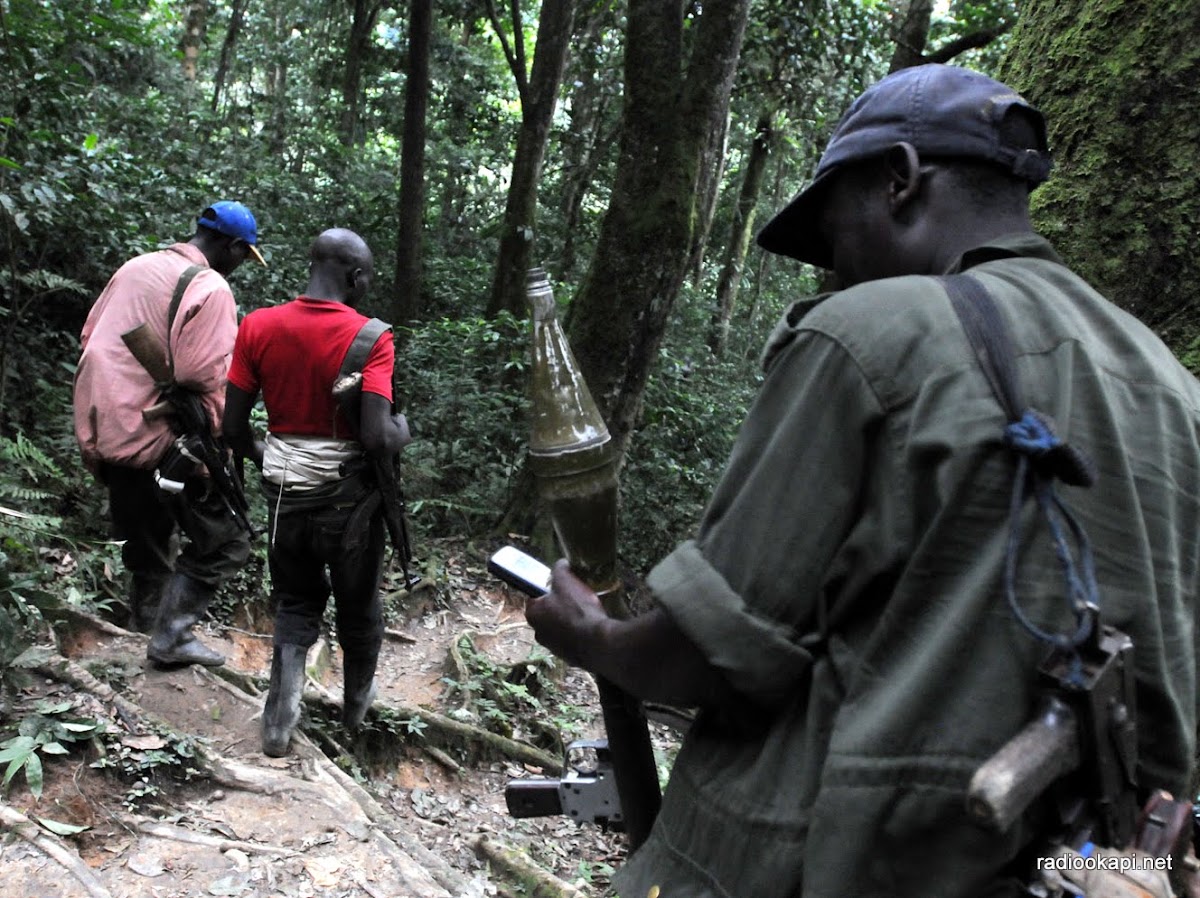 Lees meer over het artikel Rwanda beschuldigt Kinshasa van financiering en bewapening FDLR (CongoForum)