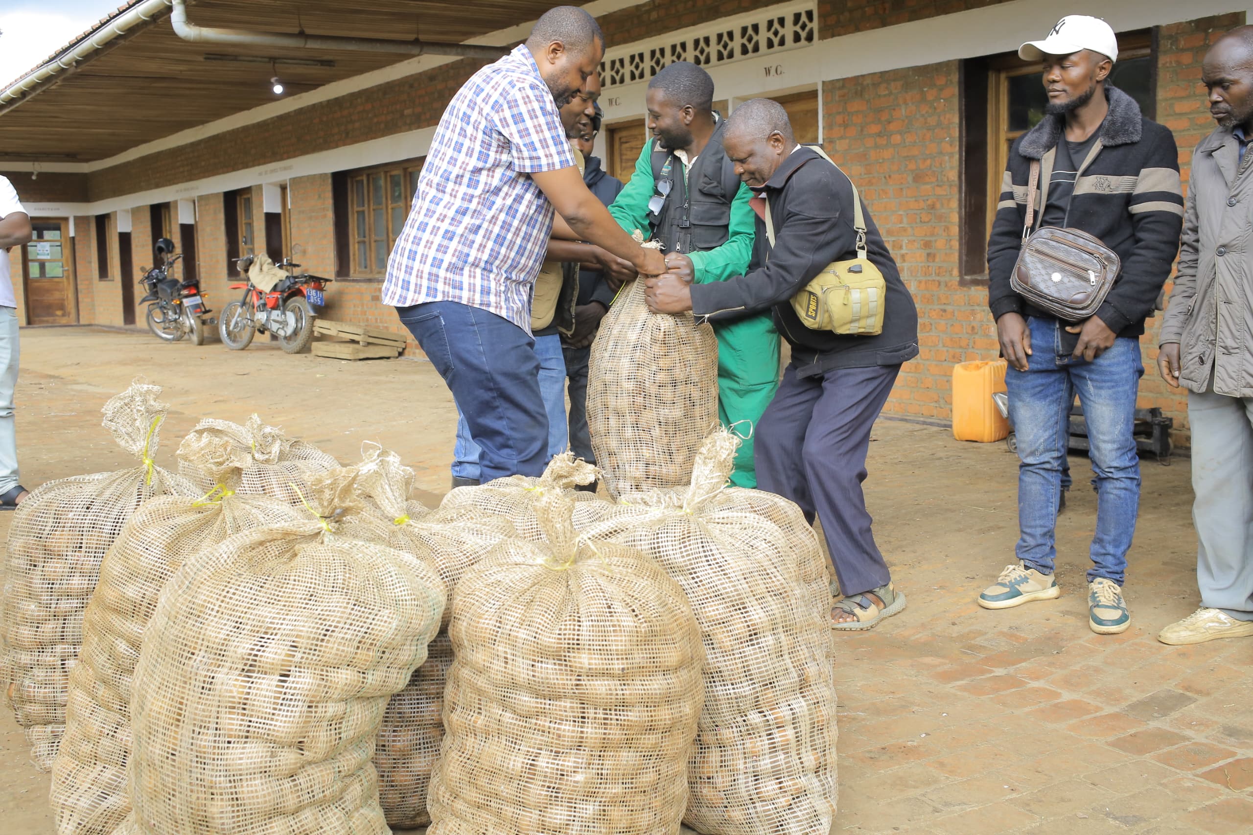 Read more about the article Campagne, 200 tonnes de semences de pomme de terre distribuées aux agriculteurs du Nord-Kivu (CongoForum)
